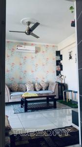 Hall Image of 1105 Sq.ft 2 BHK Apartment / Flat for rent in Jagatpura Jaipur for Rs. 30000
