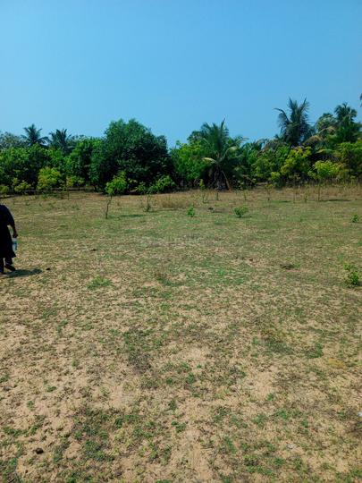 Kuvathur Main Image 1