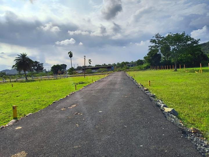 Kandigai Main Image 1