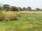 jui Plot View 2