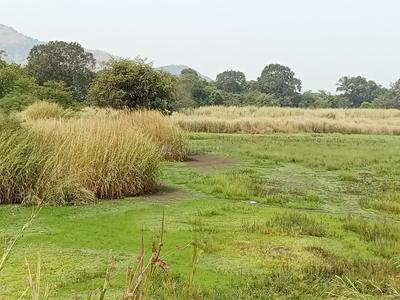 Image of 1089 Sq.ft Residential Plot / Land for sale in jui, Navi Mumbai for Rs. 500000