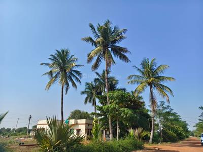 Image of 6000 Sq.ft Residential Plot / Land for sale in Paridhi Nidhivan Farm, Tatibandh, Raipur for Rs. 2850000