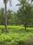 Vikram gadh Plot View 2