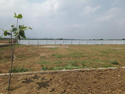 Residential Plot