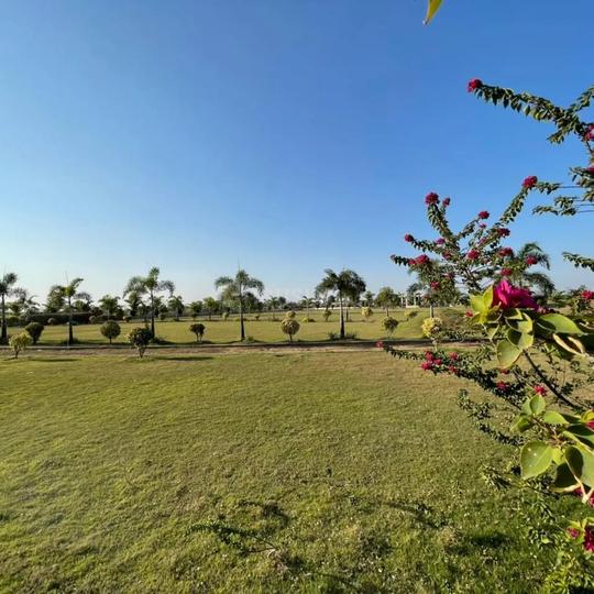 Aranya City Of Woodland Main Image 1