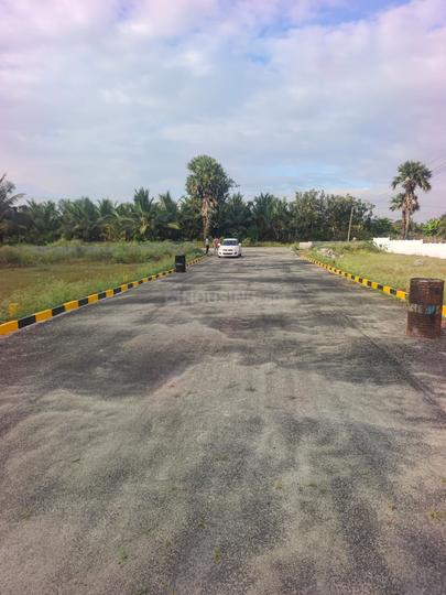 Thamaraikulam Main Image 1
