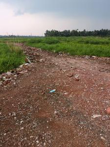 Nest Valley Internal Roads 2