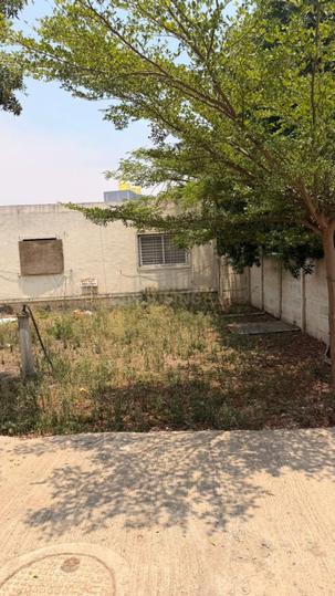 Pandhari Nagar Main Image 1