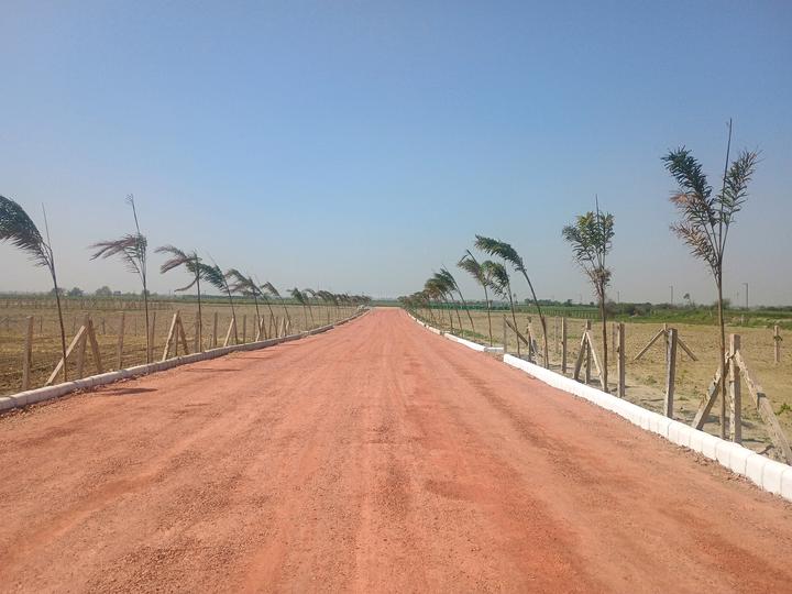 Veda Farm Main Image 1