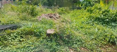 Image of 4356 Sq.ft Residential Plot / Land for sale in Punkunnam, Thrissur for Rs. 4200000