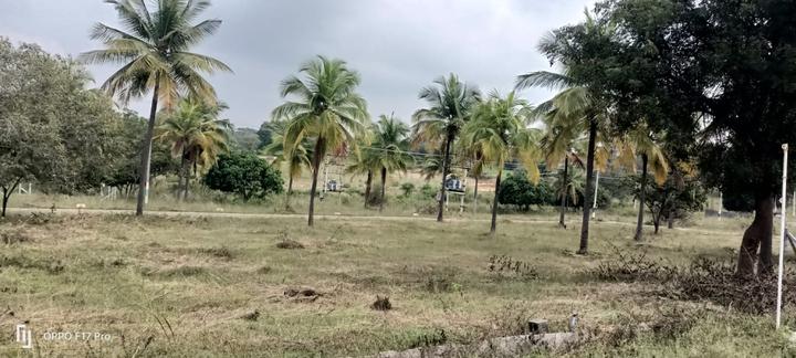 Rkb Mookambika layout  Plot View 1