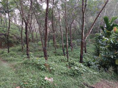 Image of 100000 Sq.ft Residential Plot / Land for sale in Koppa, Chikkamagaluru for Rs. 65000000