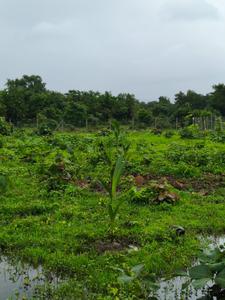 Image of 12700 Sq.ft Residential Plot / Land for sale in Murbad, Thane for Rs. 2125000