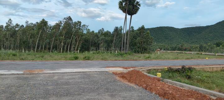 highway peral Main Image 1