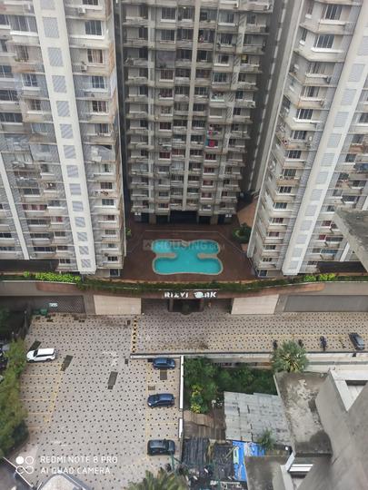 Rizvi Oak Main Image 1