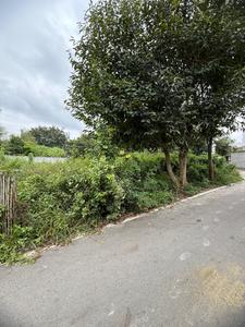 Residential Plot