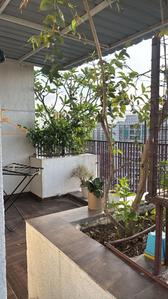 Balcony Image of 1450 Sq.ft 3 BHK Penthouse for sale in Flora Ixora, Bopal Ahmedabad for Rs. 15500000