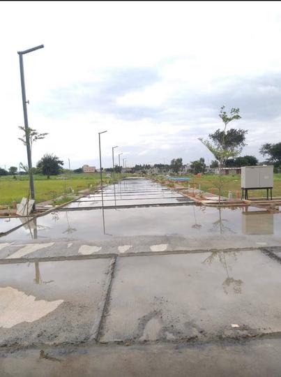 Coevolve Arcadia Main Image 1