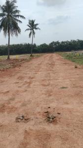 Image of 167 Sq.ft Residential Plot / Land for sale in Pendurthi, Visakhapatnam for Rs. 8016000