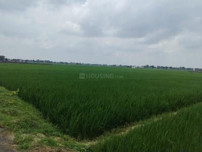 Image of 43560 Sq.ft Residential Plot / Land for sale in Ashapur Village, Ayodhya for Rs. 70000000