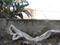 Sector 9 Plot View 1