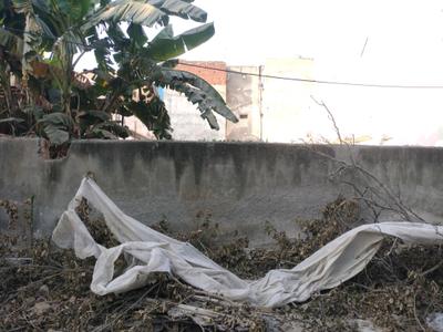 Sector 9 Plot View 1