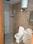 Bathroom Image of Sk co living pg  in Sector 69, Gurgaon