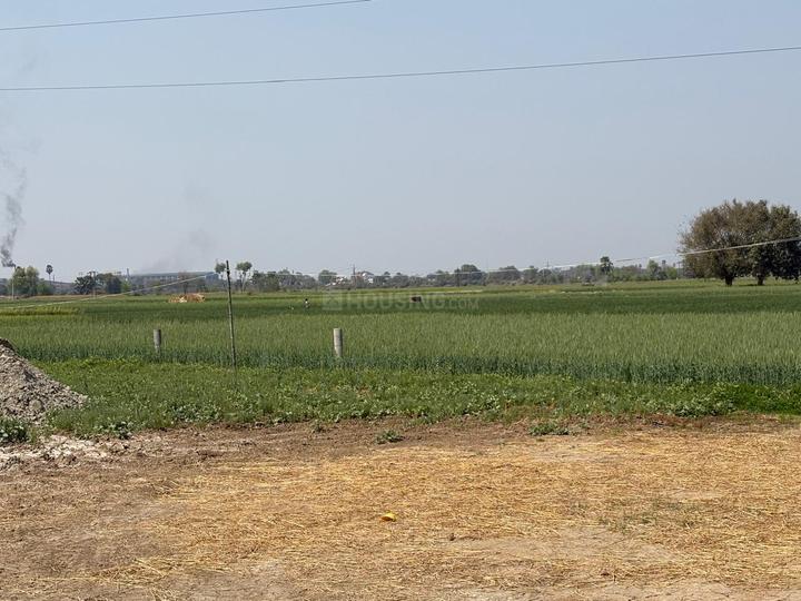 Hardas Bigha Main Image 1