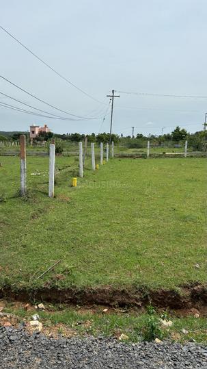 Melkalvoy, Ashthinapuram Main Image 1