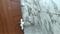 Wazirabad, Sector 52 Bathroom Three 1