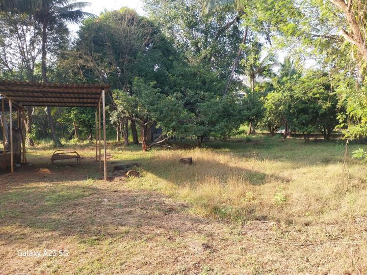 Mangaon Main Image 1