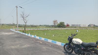 Mudichur Plot View 2