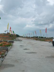 Shadnagar Plot View 2