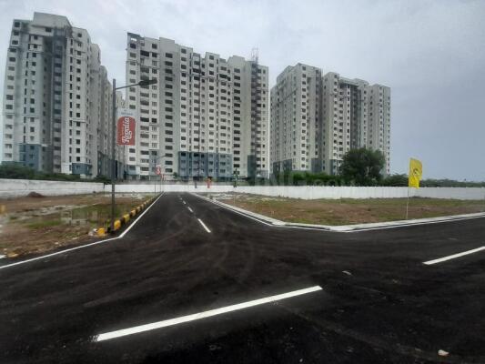 Serasa Regalia Main Image 1