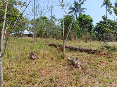 Residential Plot