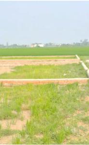 Image of 1000 Sq.ft Residential Plot / Land for sale in Kushmi, Gorakhpur for Rs. 1400000