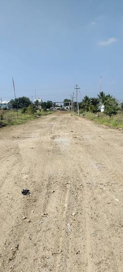 Urban Exotica Main Image 1