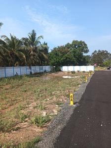 Residential Plot