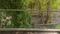 Nanu The Banyan Tree Bedroom Two 2