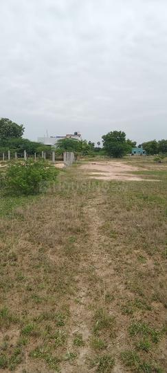 Panjappur Main Image 1