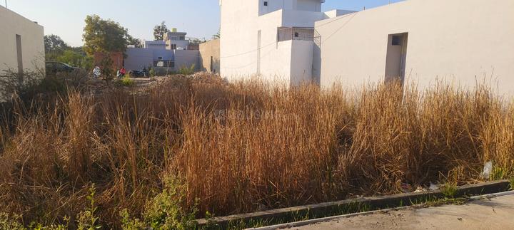 Sarkanda Main Image 1