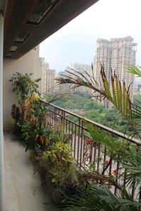 Balcony Image of 4575 Sq.ft 5 BHK Apartment / Flat for rent in Hiranandani Developers Evita, Powai Mumbai for Rs. 500000