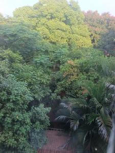 Balcony Image of 2000 Sq.ft 3 BHK Independent House for rent in Thiruvanmiyur Chennai for Rs. 55000