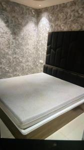 Bedroom Image of 1650 Sq.ft 3 BHK Apartment / Flat for rent in N K Savitry Greens, Nabha Zirakpur for Rs. 55000