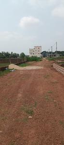 Tamando Plot View 1