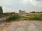 Jarauli Plot View 2