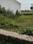 Lale-Da-Bagh Main Image 1