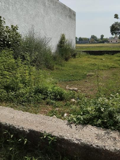 Lale-Da-Bagh Main Image 1