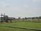 Kurali Plot View 2