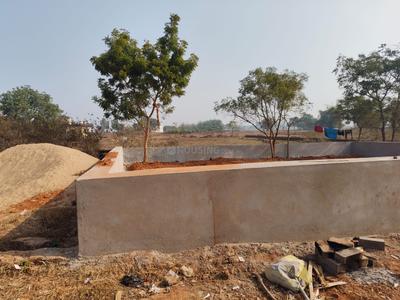 Jamukoli Plot View 3